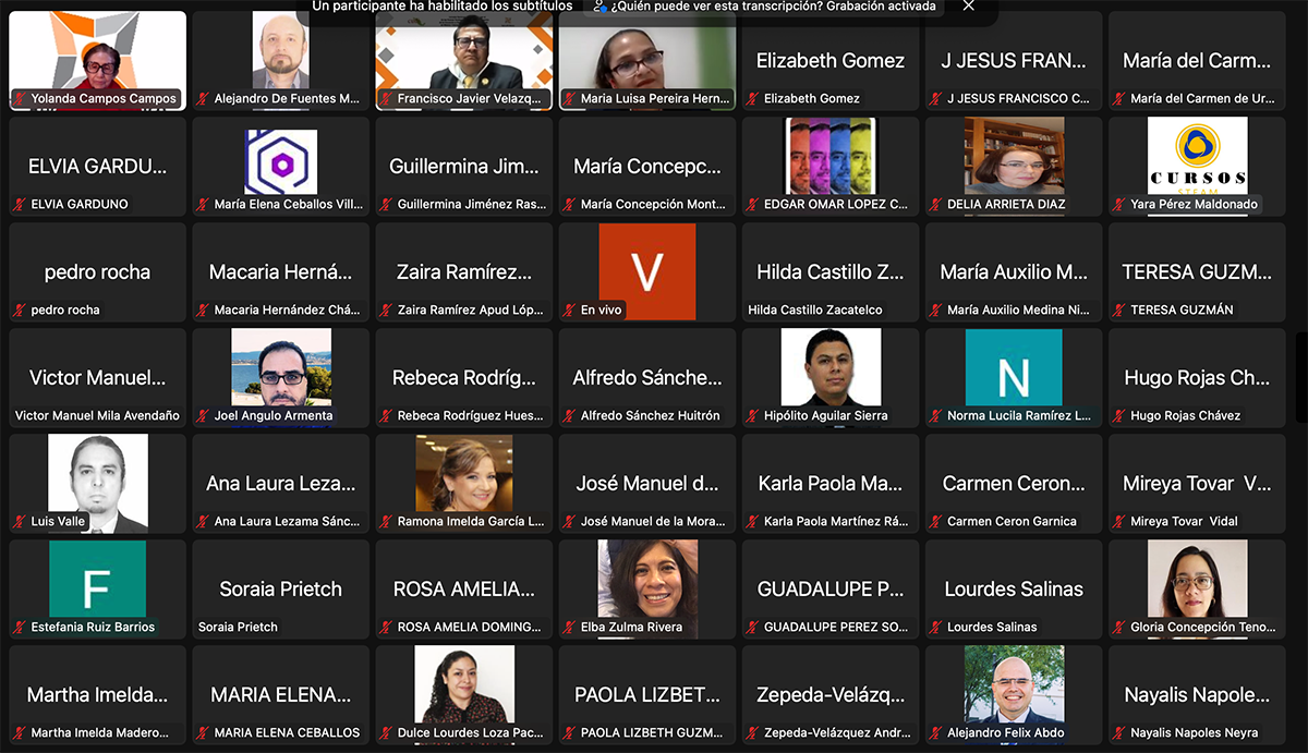 Participantes